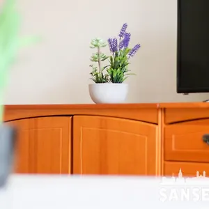 https://apartamento-colon-by-sanse-holidays.sansebastianhotels.net